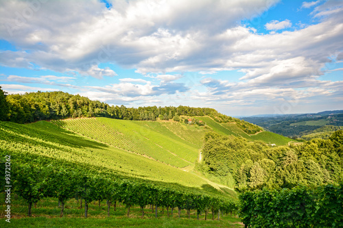 Southern Styria Austria - Panoramic view over the vineyards before the harvest