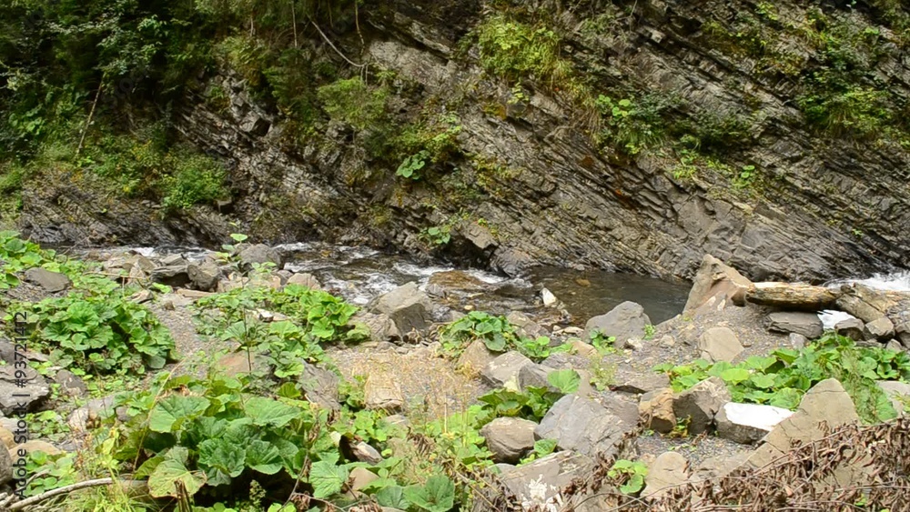 Mountain river flows near high rocks with lush green vegetation