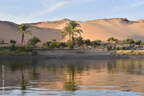 Palmen am Nil