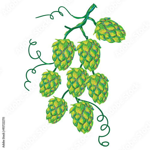 Hop vector illustration