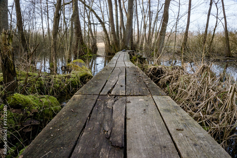 Fototapeta premium Stege im Grötzinger Moor