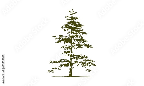 Trees