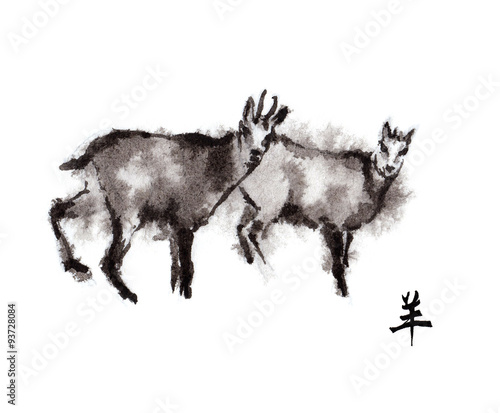 Two chamois goats male and female oriental ink painting with Chinese hieroglyph  goat . Symbol of the new year of goat  sheep.