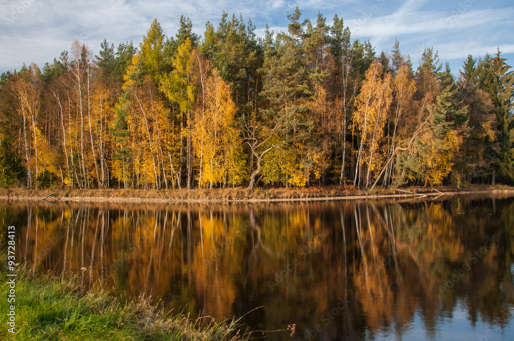 Herbst am Teich