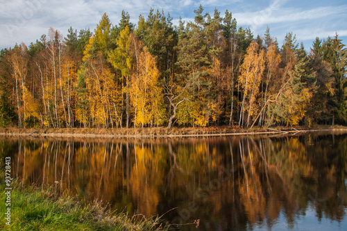 Herbst am Teich