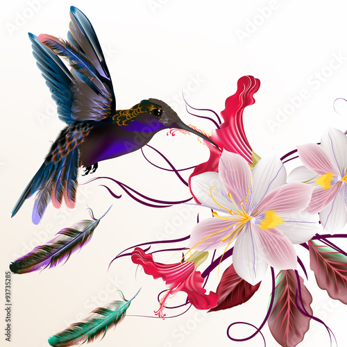 Vector illustration with realistic humming bird for design