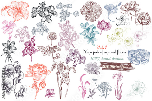 Mega collection of high detailed vector flowers for design