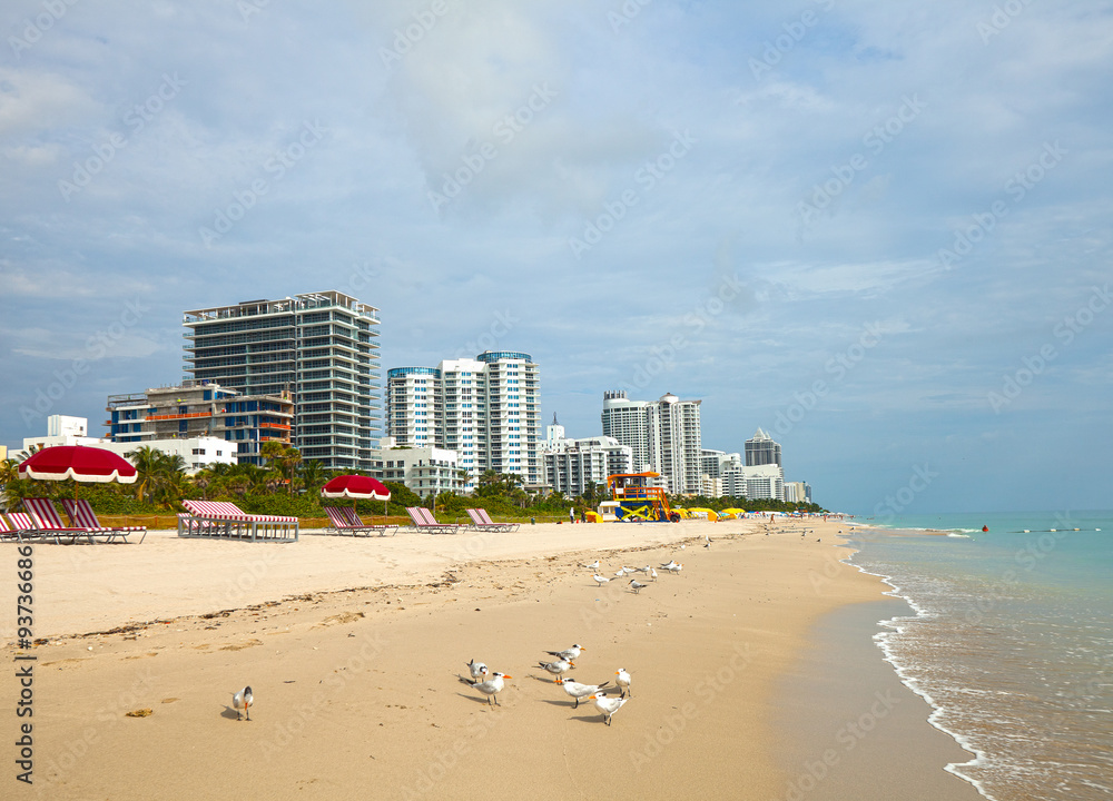 Miami Beach Florida buildings and ocean