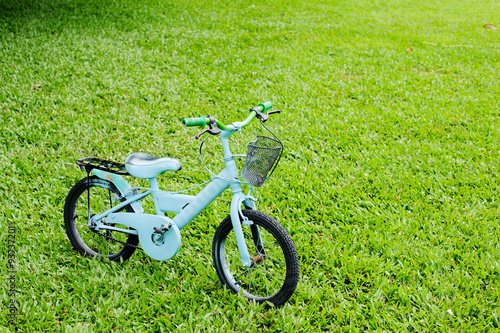 Vintage children bicycle in the green park