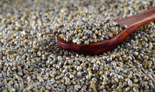 close up of Pearl Millet (Bajra) with wooden spoon.
 photo