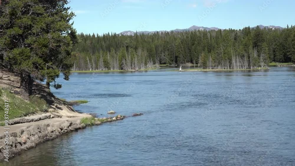 Yellowstone River shoreline forest islands 4K Yellowstone River shoreline forest islands 4K