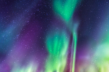 Leinwandbilder Nordlichter Nordlicht über sternenklarem Himmel  © ysign