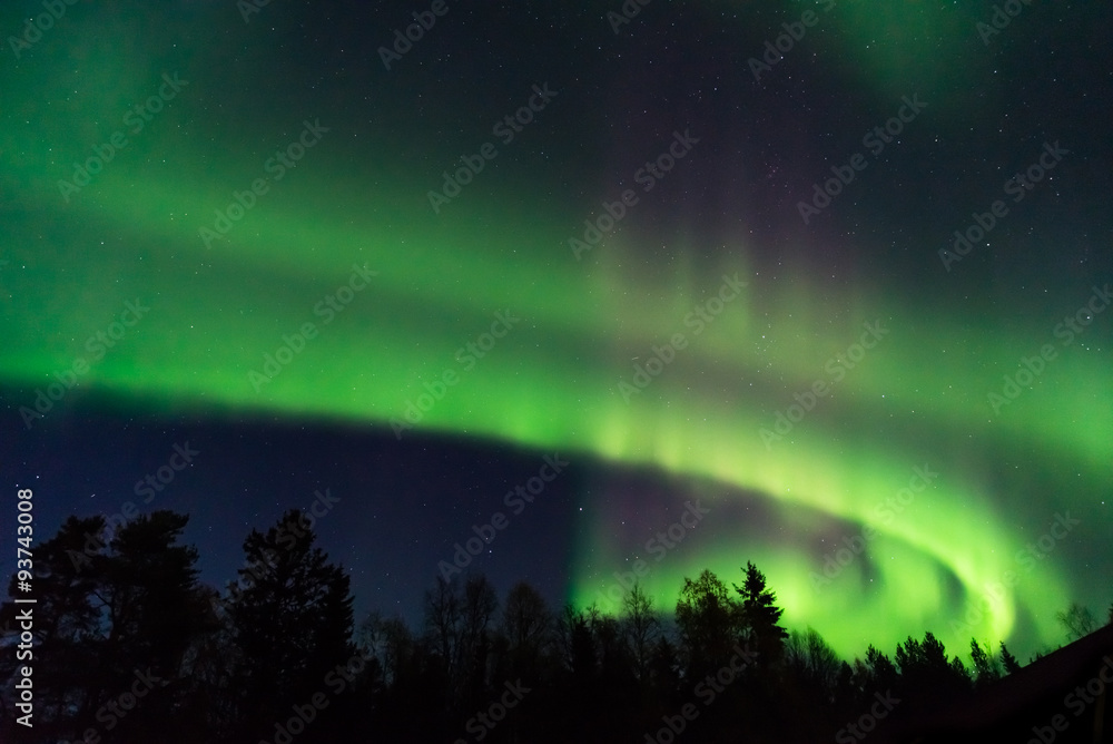 green and pink aurora borealis on a starry sky