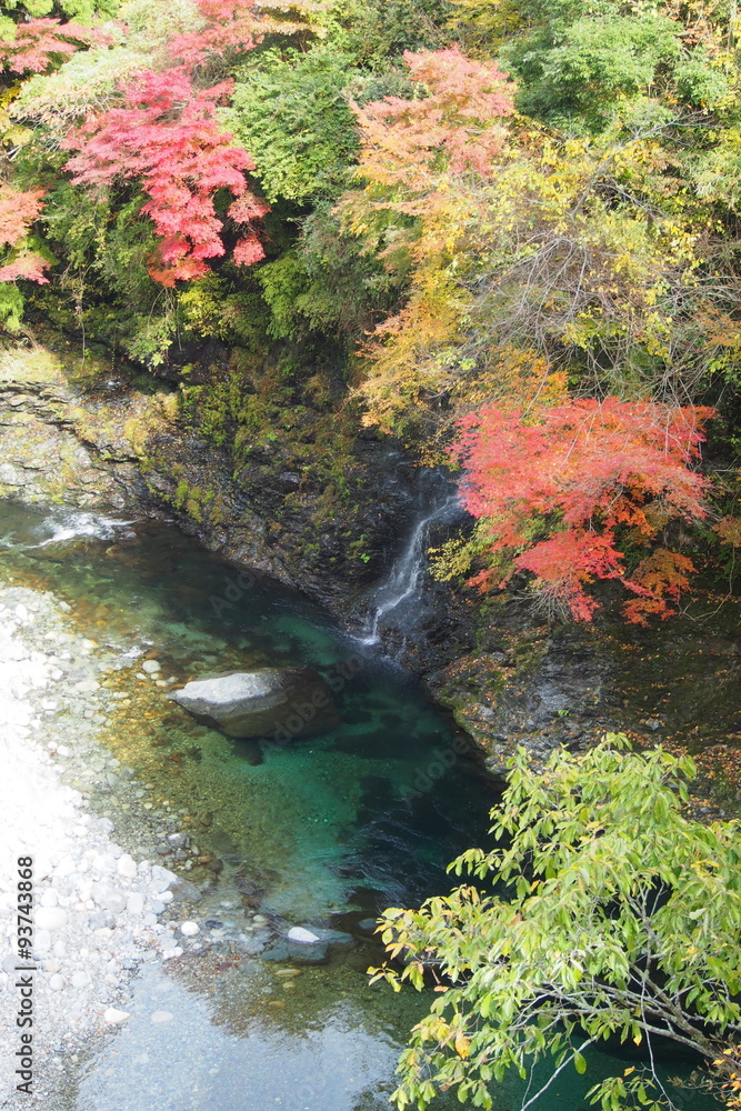 Obraz premium みたらい渓谷