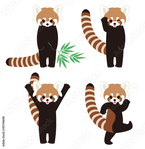 レッサーパンダのキャラクター