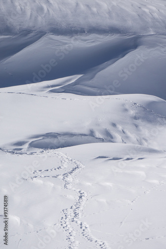 Human footprints in snow © Vasily Merkushev