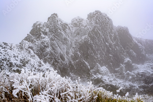 Hiking around hehuanshan at a cold haze day photo