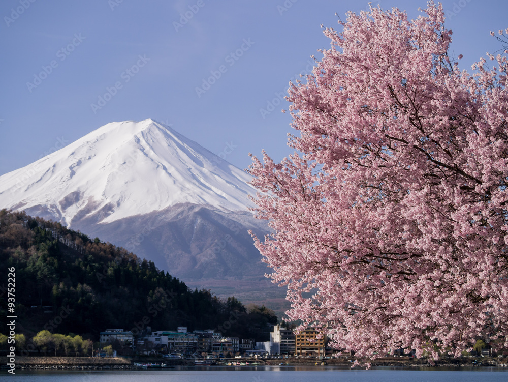 The sacred mountain - Mt. Fuji at Japan