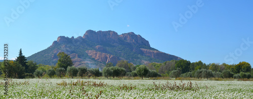 Rocher de Roquebrune, massif des Maures