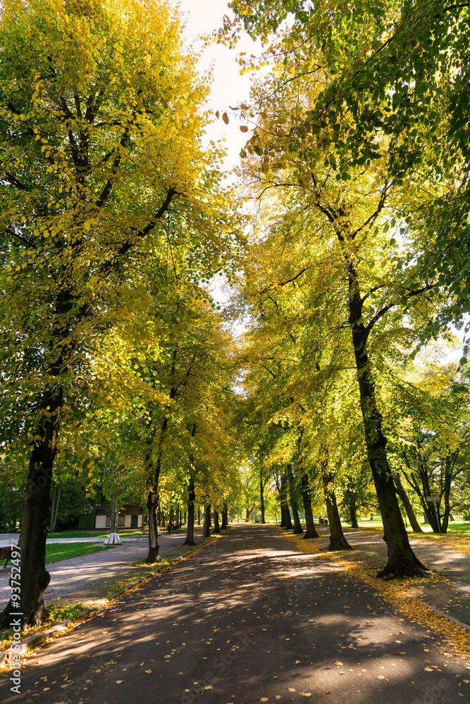 Naklejka premium Herbst