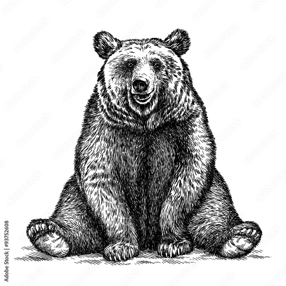 Obraz premium engrave bear illustration