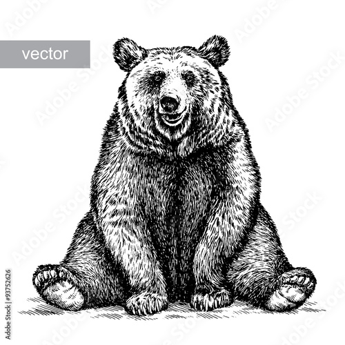 engrave bear illustration