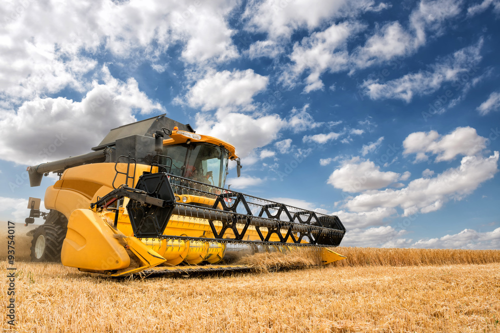 Fototapeta premium close view of modern combine harvester in action.