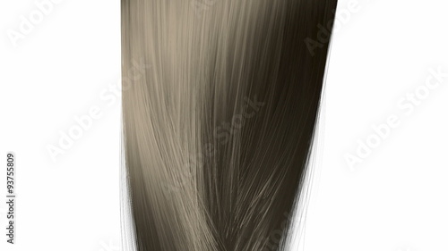 Wallpaper Mural hair twirl brown Torontodigital.ca