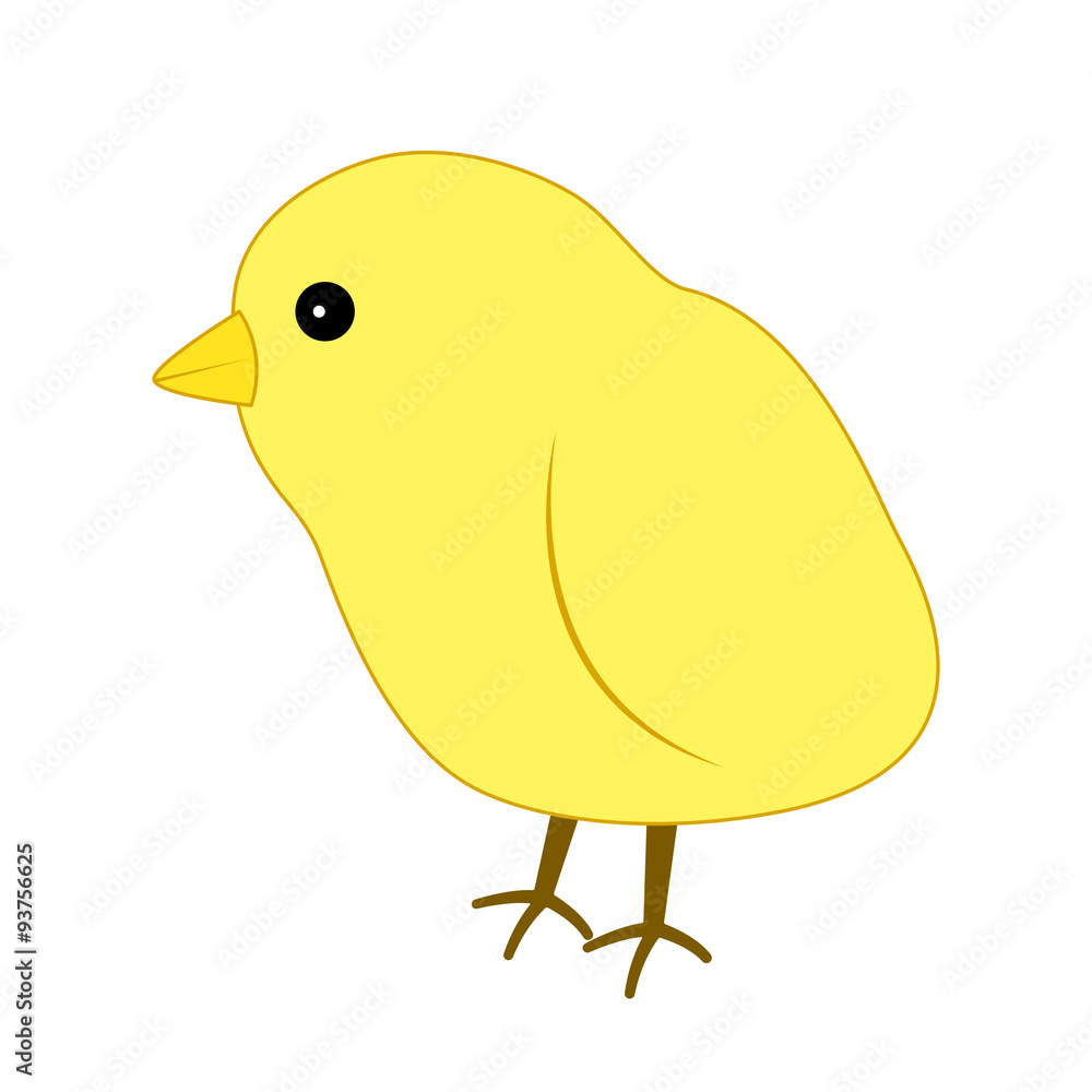 ヒヨコ ヒヨコ
