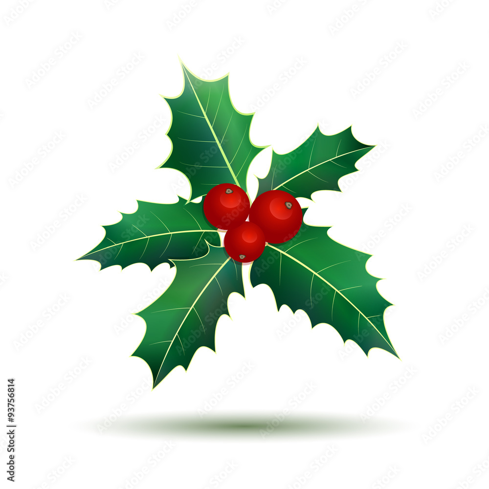 Holly leaves. Christmas holly berries. Holly leaves. Christmas holly berries.