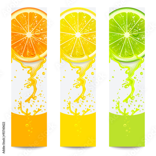 Banners with Fresh Citrus Fruit
