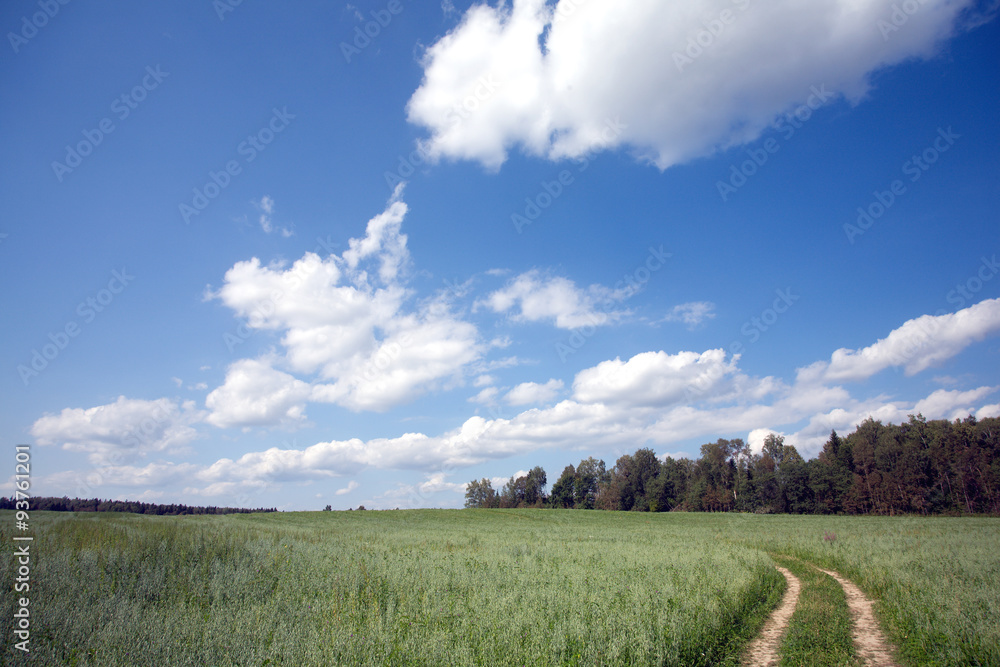 Beautiful rustic landscape with ground road runs through a green field to forest on sunny summer day Beautiful rustic landscape with ground road runs through a green field to forest on sunny summer day