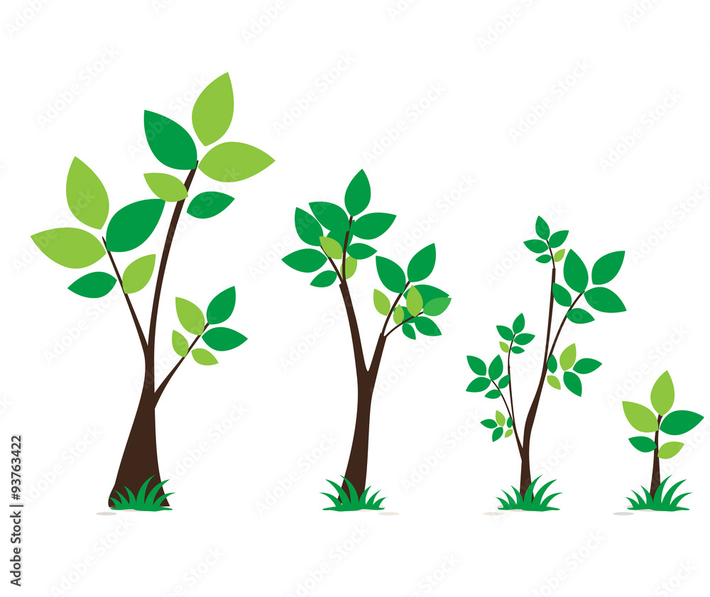 Obraz premium tree set