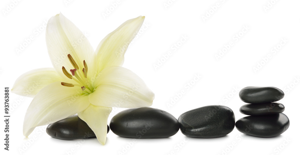 Fototapeta premium White lily and stones