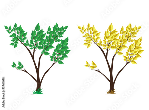 tree green and yellow set