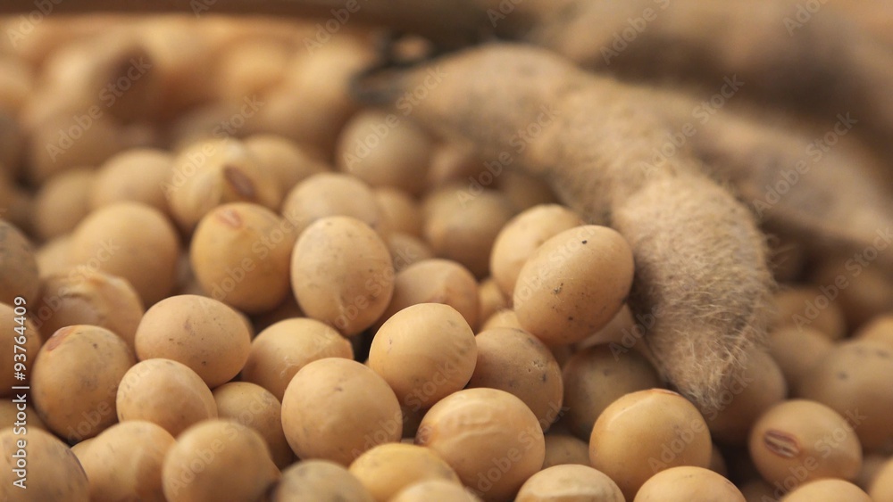 Soy beans drop on plate, good successful harvest concept. Soy beans drop on plate, good successful harvest concept.