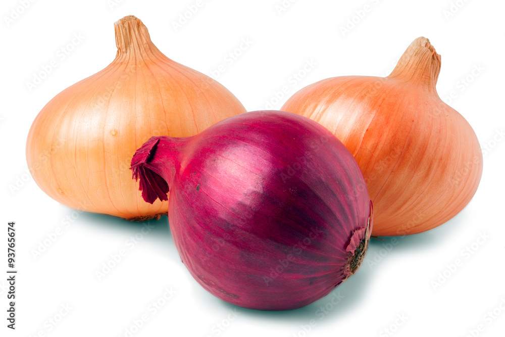 Fototapeta premium red onion bulb
