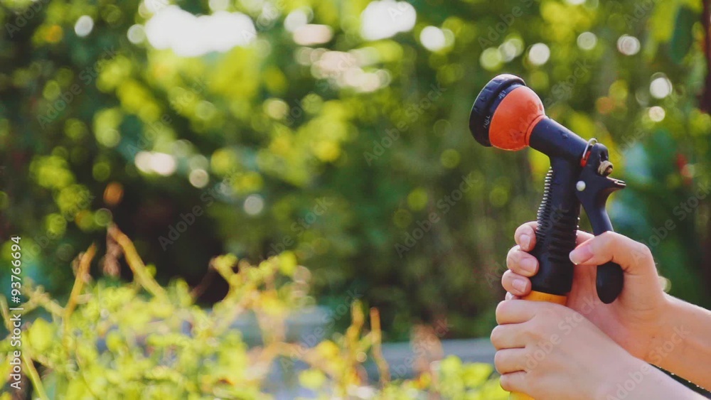 Watering the green grass, close up. Slow Motion 240 fps. Sparkling