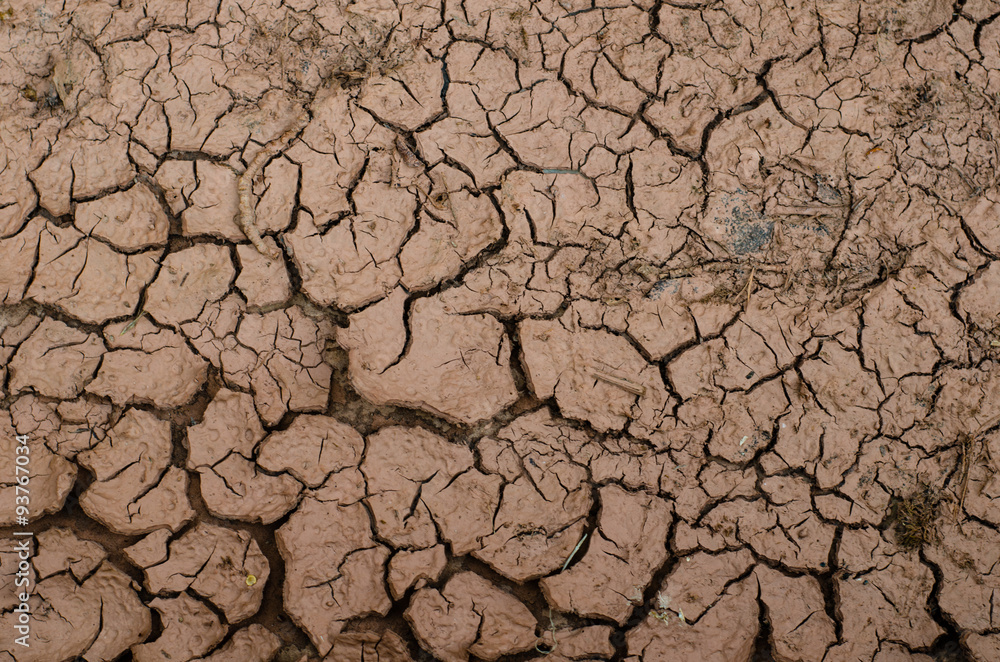 Fototapeta premium Sequía