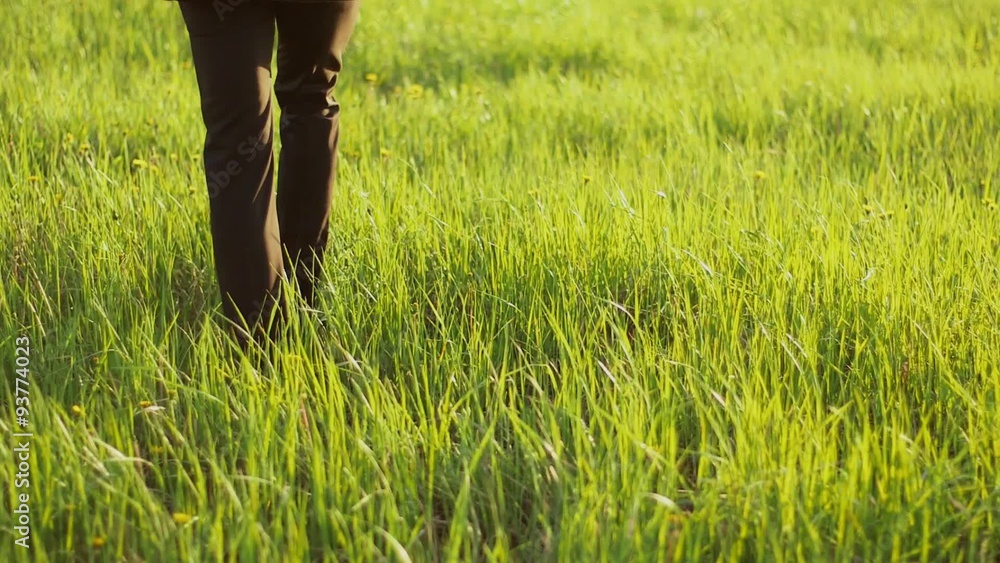 Businessman walks in the field Businessman walks in the field