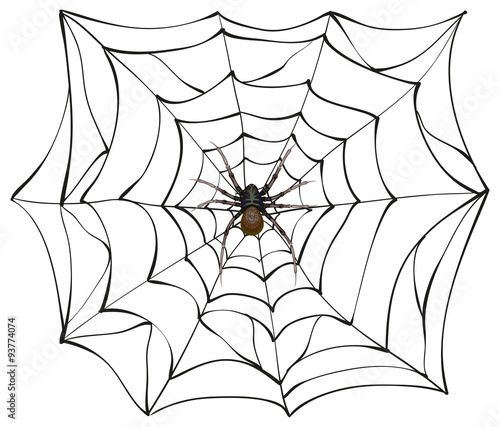Spiderweb. Big spider web. Scary spider of web. Poison spider