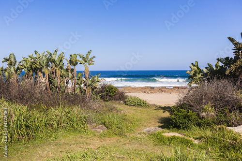 Beach Pathway Ocean Coastline