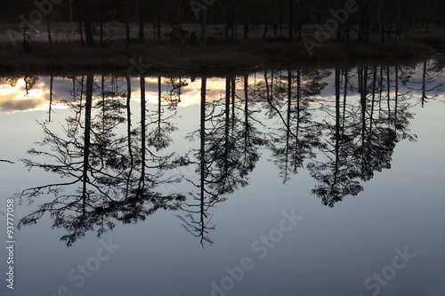 Graphic reflections