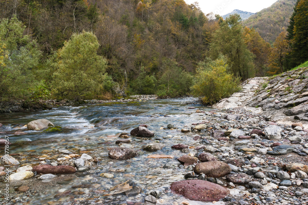The flow a creek through the colorful autumn mountains The flow a creek through the colorful autumn mountains