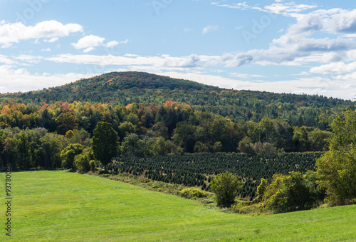 rural scene in Vermont with a Christmas Tree Farm, fields and wooded hills with early fall foliage colors 