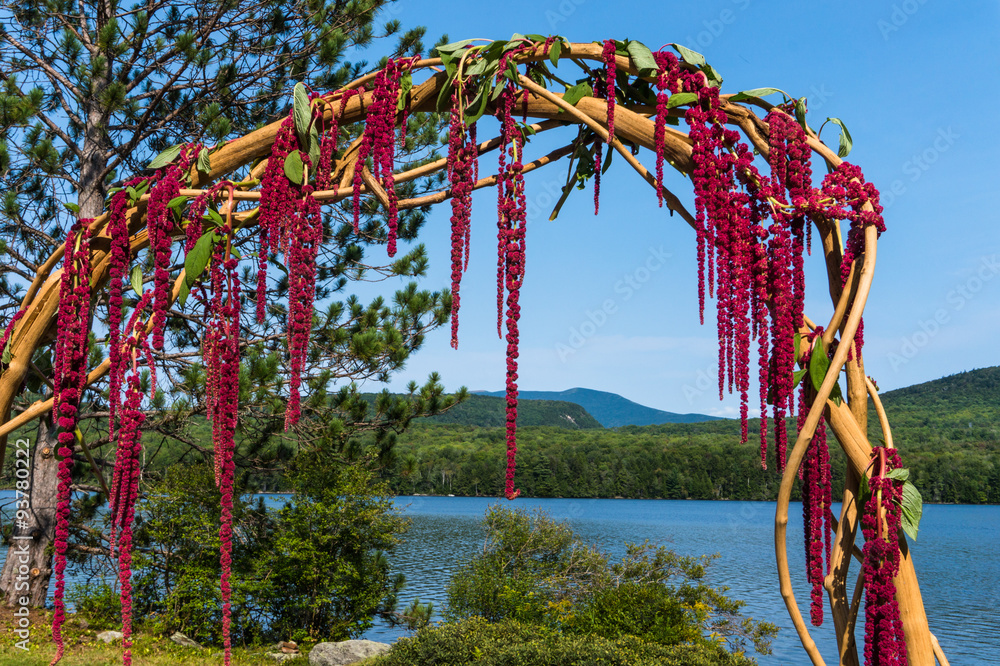 woven wedding arch with red amaranth hanging down in front of lovely lake view 
