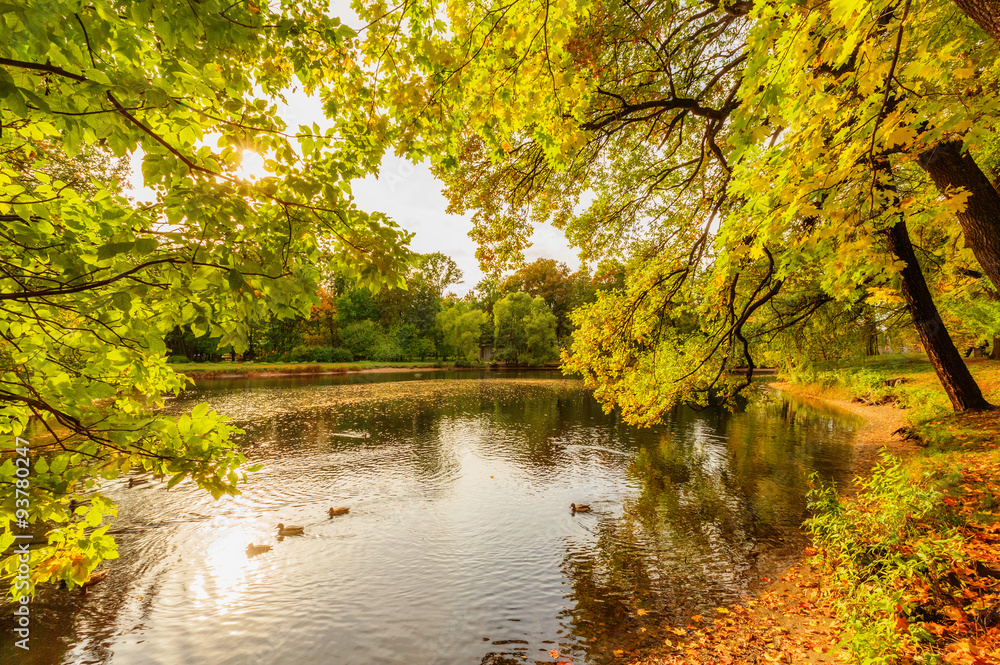 Beautiful autumn park on Yelagin Island Beautiful autumn park on Yelagin Island