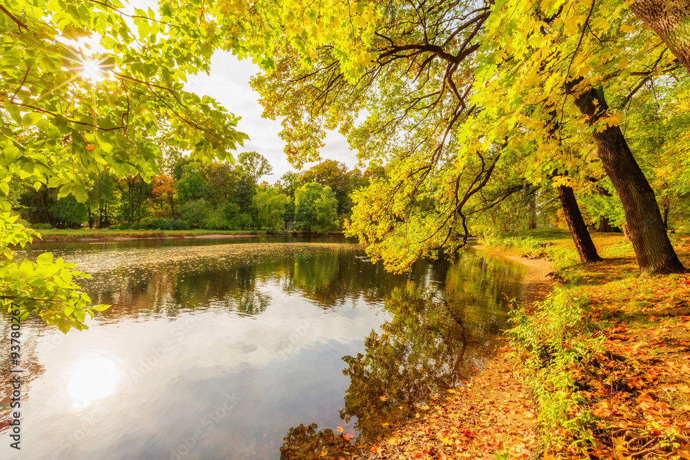 Beautiful autumn park on Yelagin Island Beautiful autumn park on Yelagin Island