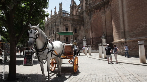 Horse and carriage Sevilla Spain P HD 9807 photo