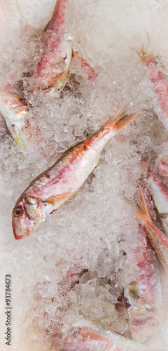 small fish on ice on the market by the sea